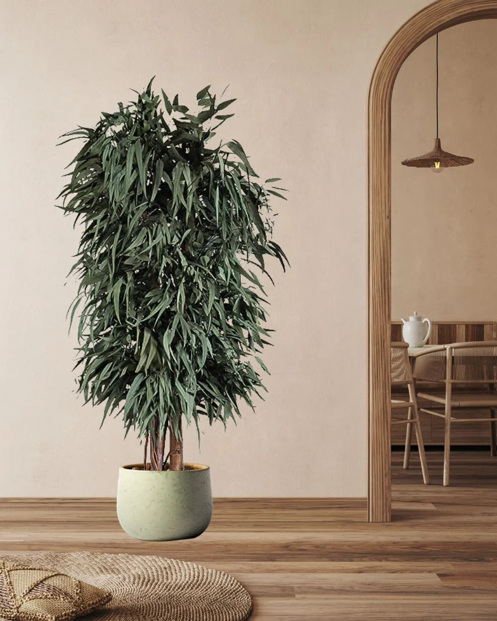 Konserverat pilträd Willow – Full – konserverat träd från Forever Flora