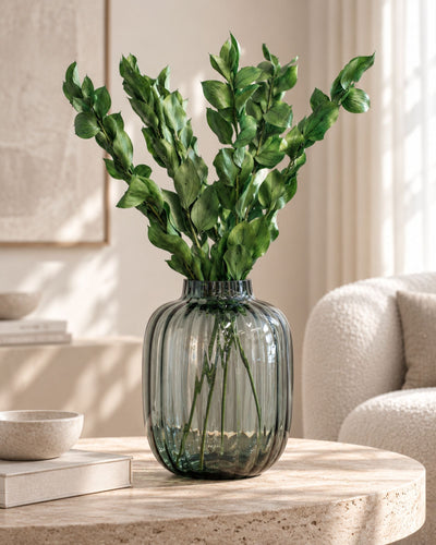 Ruscus Gigant – konserverad växt