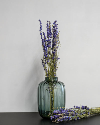 Torkade Delphinium – Riddarsporre för buketter och blomsterarrangemang