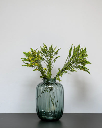 Solidago Grön som vasdekoration för hem och inredning
