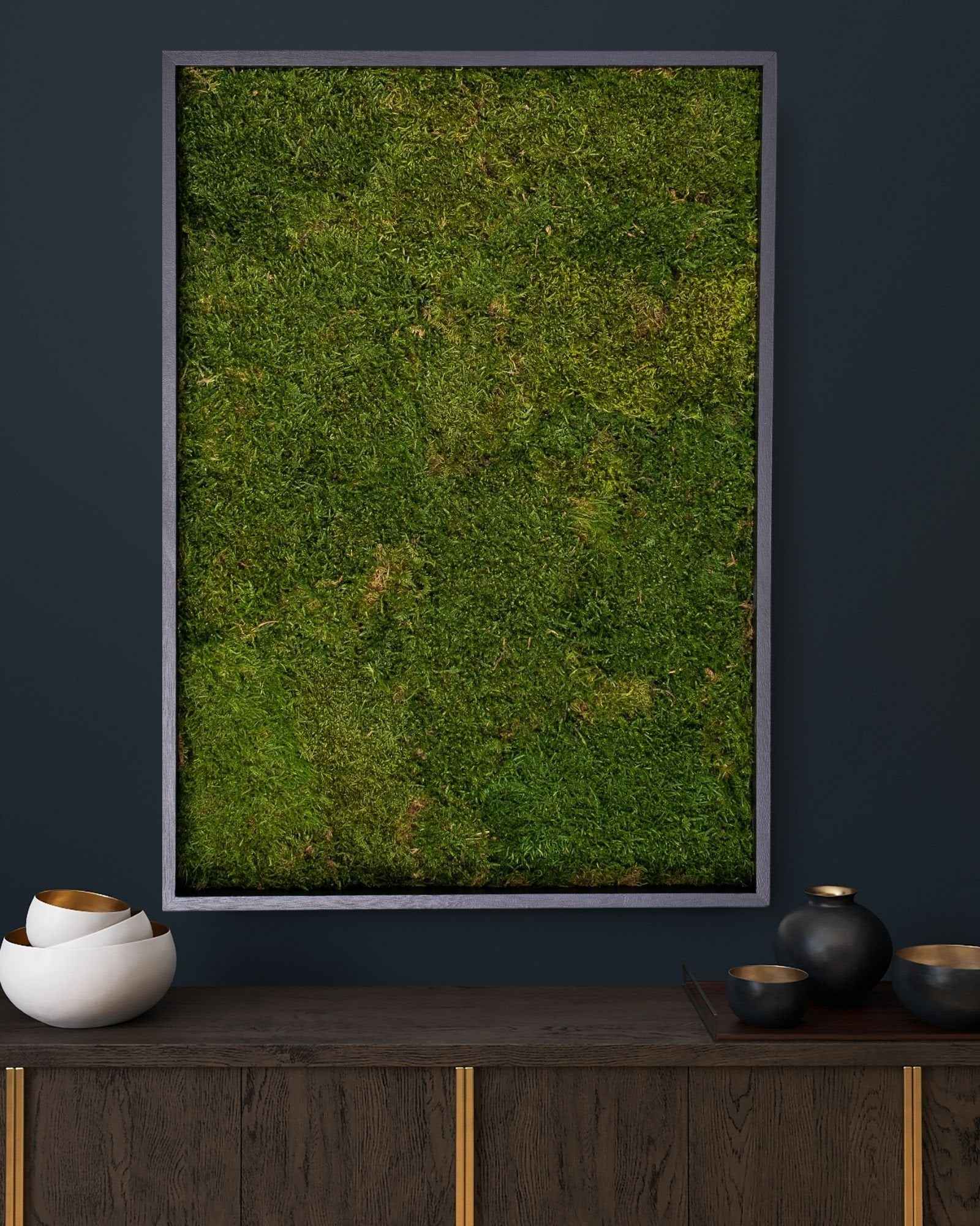 Kvadratisk mosstavla med äkta plattmossa som grön väggdekoration för inomhusmiljö – 50×70 cm