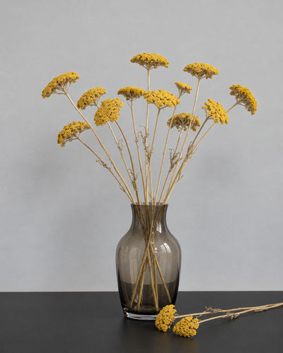 Achillea/Röllike naturell