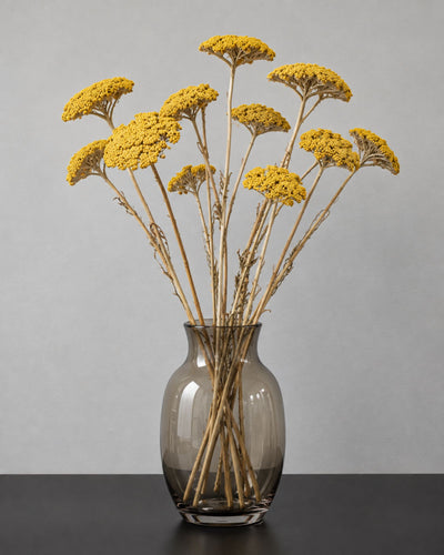 Achillea/Röllike naturell