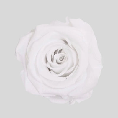 Evighetsros Box i Trä - Stor Rosbox som dekorativ produkt från Forever Flora