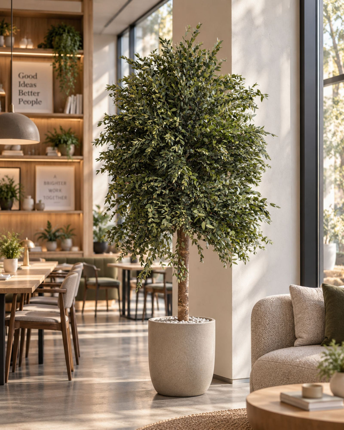 Konserverat eukalyptusträd Parvifolia – Slim