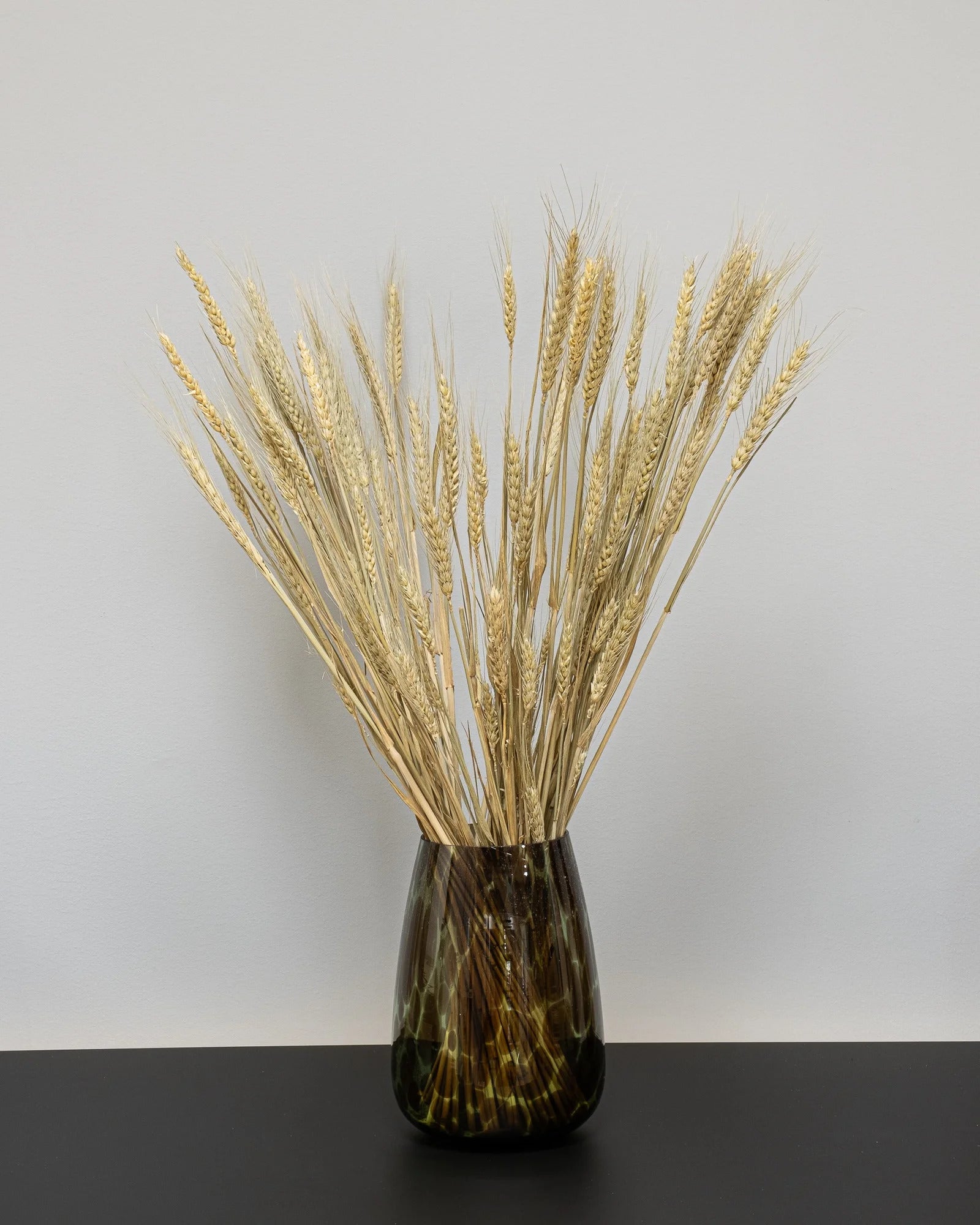Torkat Triticum-vete, ca 70 cm