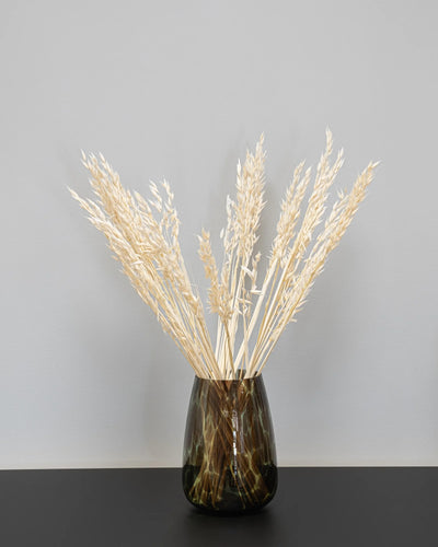 Havre Avena – torkade blommor 50–60 cm