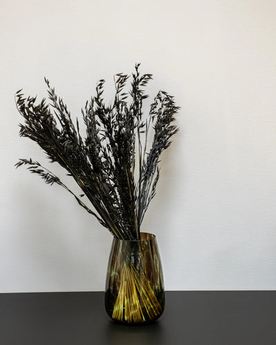 Havre Avena – torkade blommor 50–60 cm i Orange
