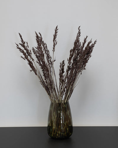 Havre Avena – torkade blommor 50–60 cm i Svart