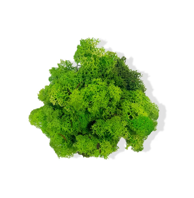 Produktvy av Rund mosstavla med grön bollmossa och lichen med bevarad mosskaraktär – Q 110 cm
