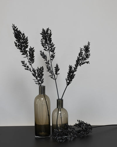 Detaljbild av Ruscus 5 st.