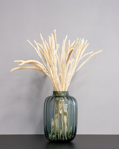 Torkad Sorghum 50–60 cm i Brun