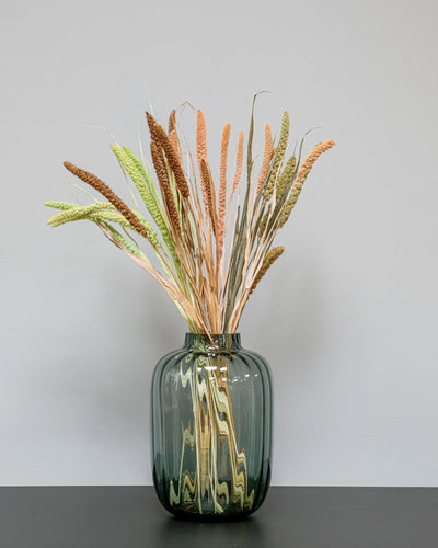 Torkad Sorghum 50–60 cm i Salmon
