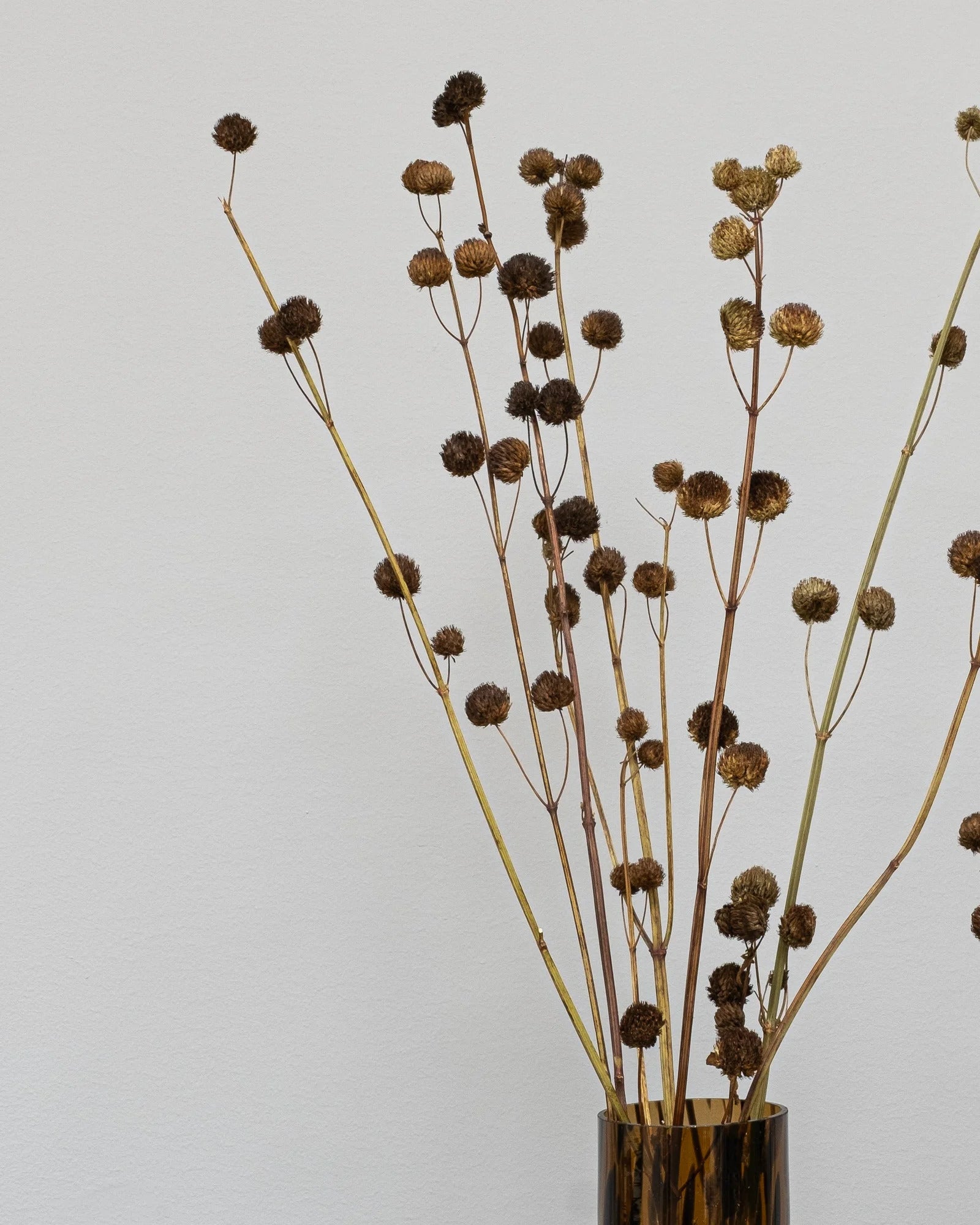 Callicarpa Naturell som vasdekoration för hem och inredning
