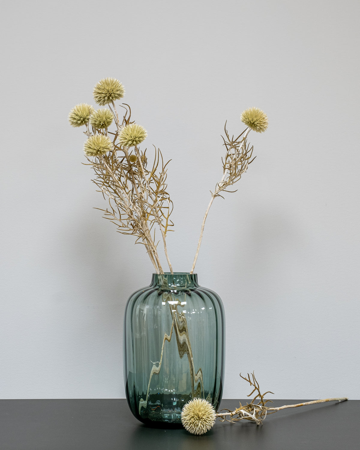 Bolltistel Gigant – konserverade blommor