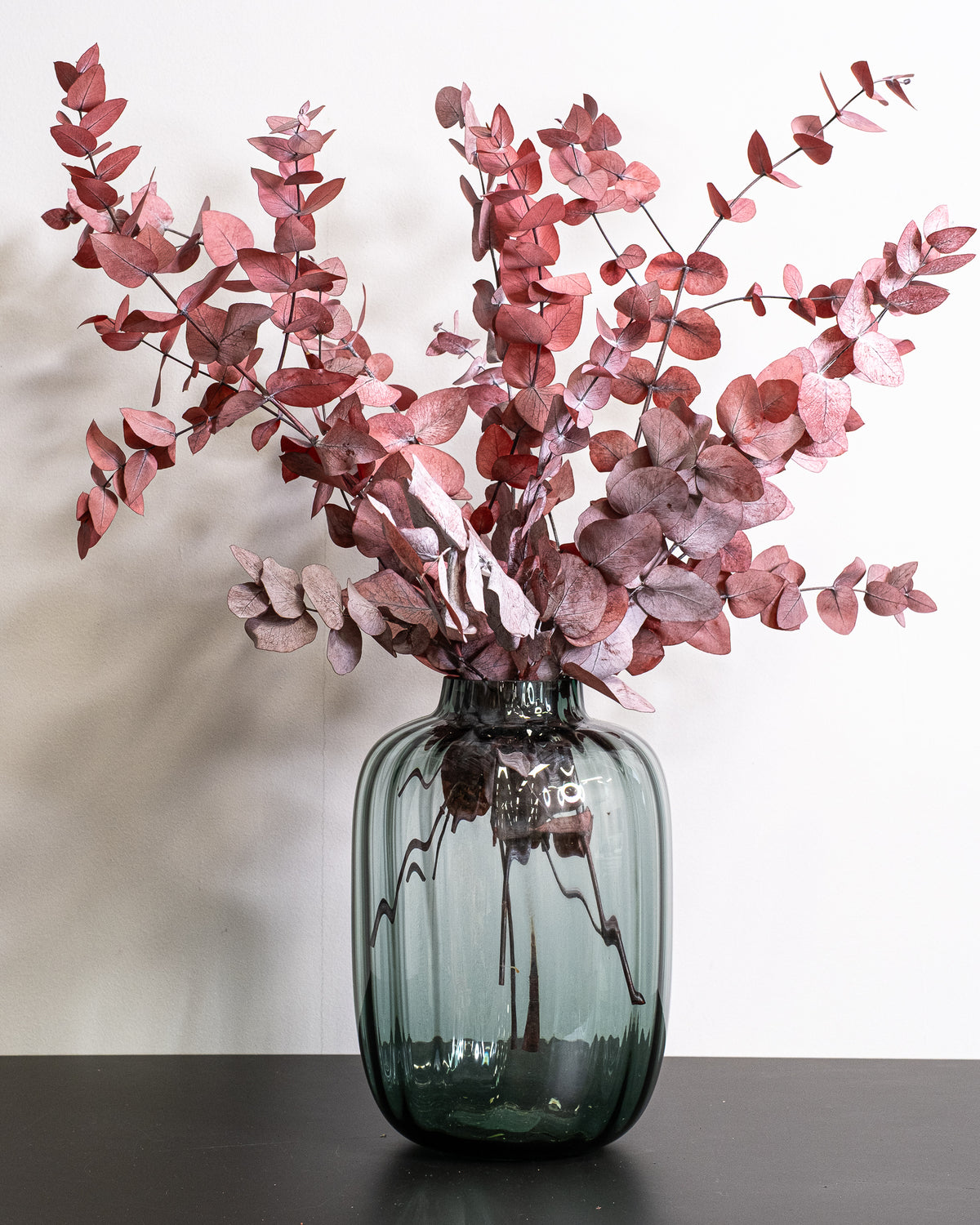 Eucalyptus Cinerea – konserverad växt