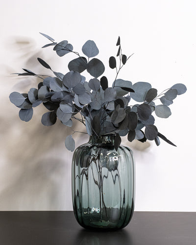 Eucalyptus Populus - Konserverade Växter