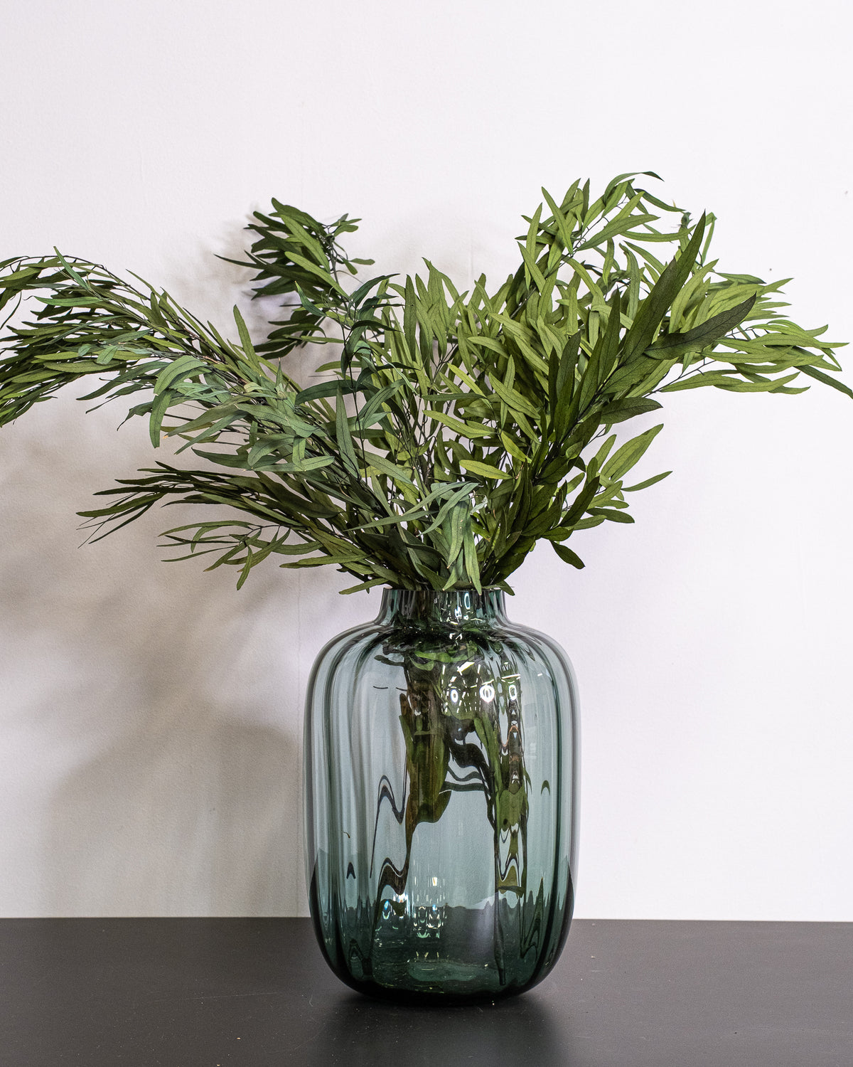 Eucalyptus Nicoli - Konserverade Växter