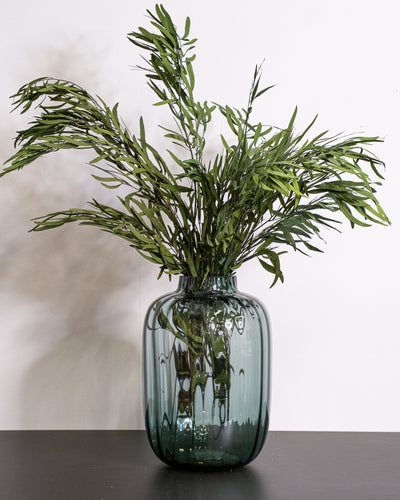 Eucalyptus Nicoli - Konserverade Växter