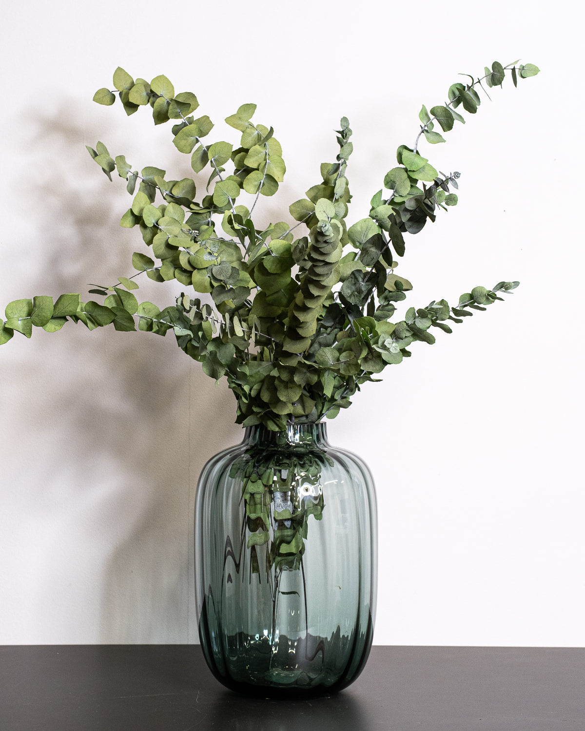 Eucalyptus Stuartiana – konserverad växt