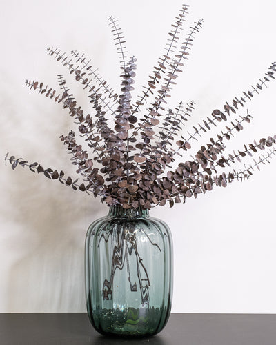 Eucalyptus Baby Blue – konserverad växt