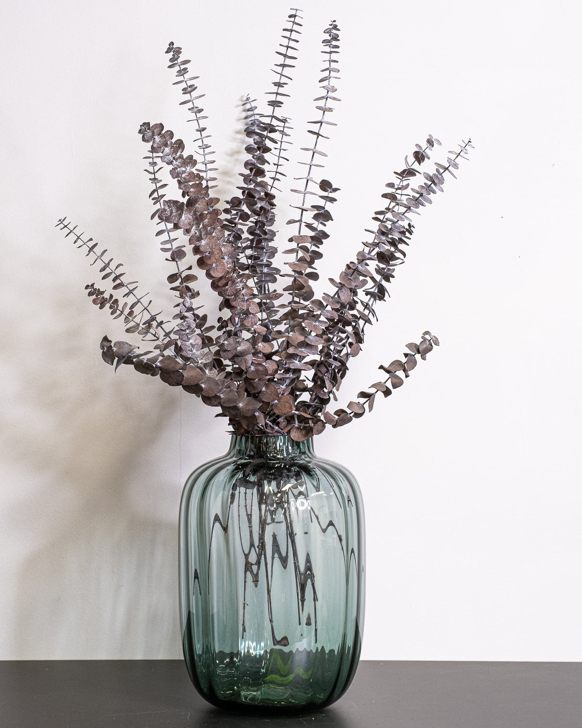 Eucalyptus Baby Blue – konserverad växt
