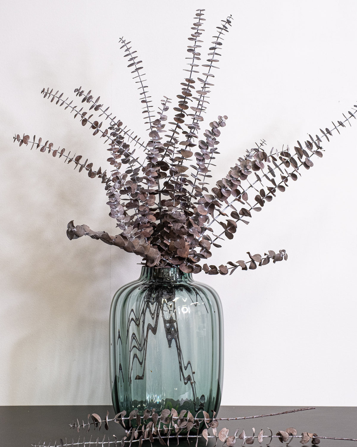 Eucalyptus Baby Blue – konserverad växt