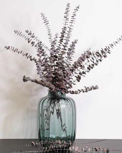 Eucalyptus Baby Blue – konserverad växt