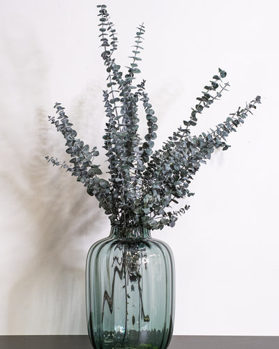 Eucalyptus Baby Blue – konserverad växt
