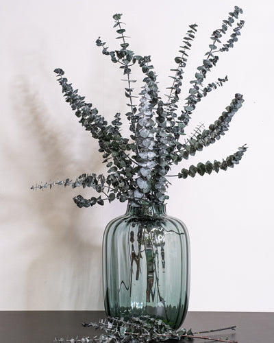 Eucalyptus Baby Blue – konserverad växt