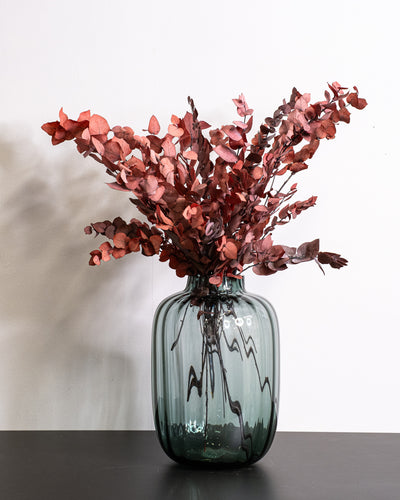 Eucalyptus Stuartiana – konserverad växt