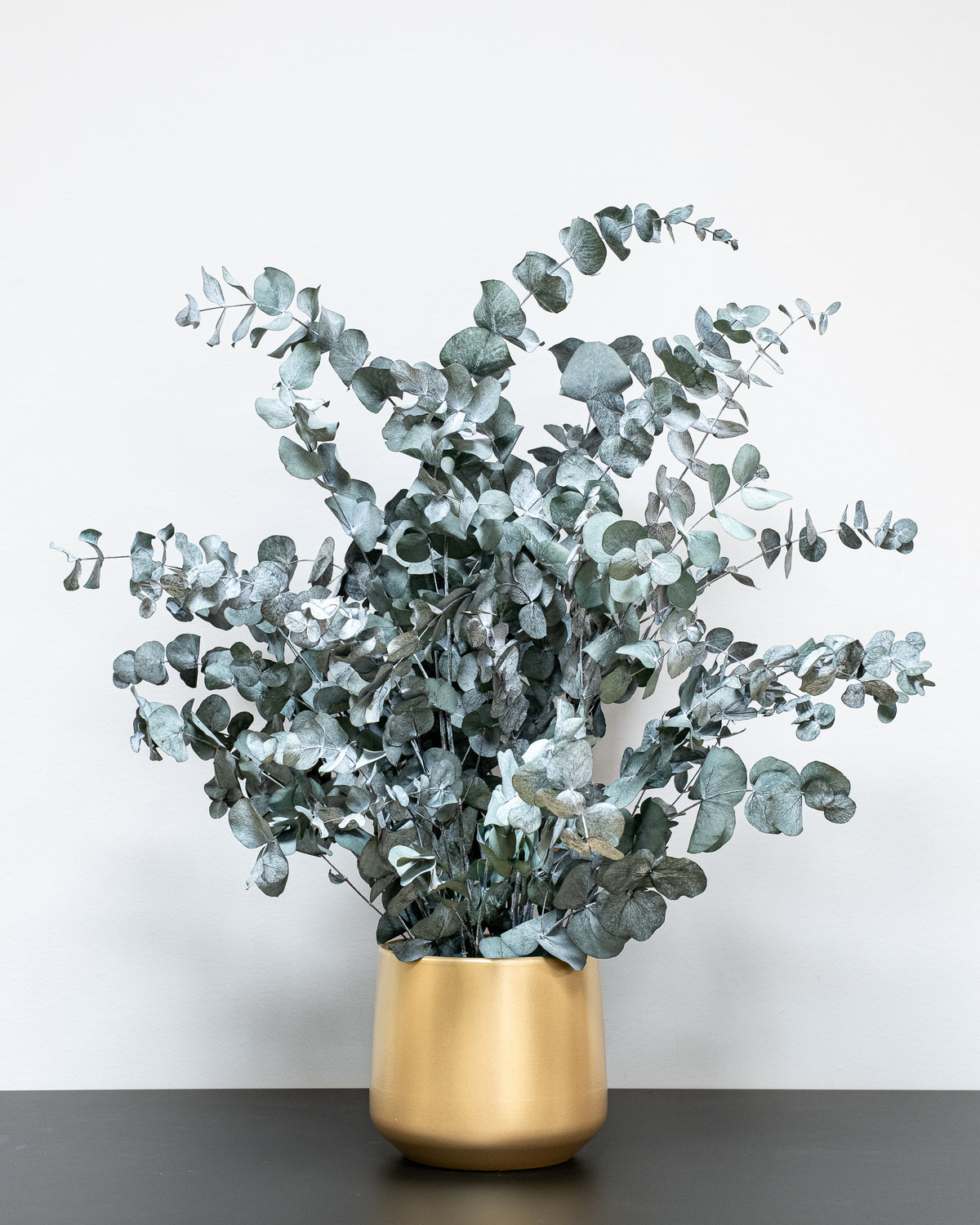 Konserverad Eucalyptus Cinerea krukväxt