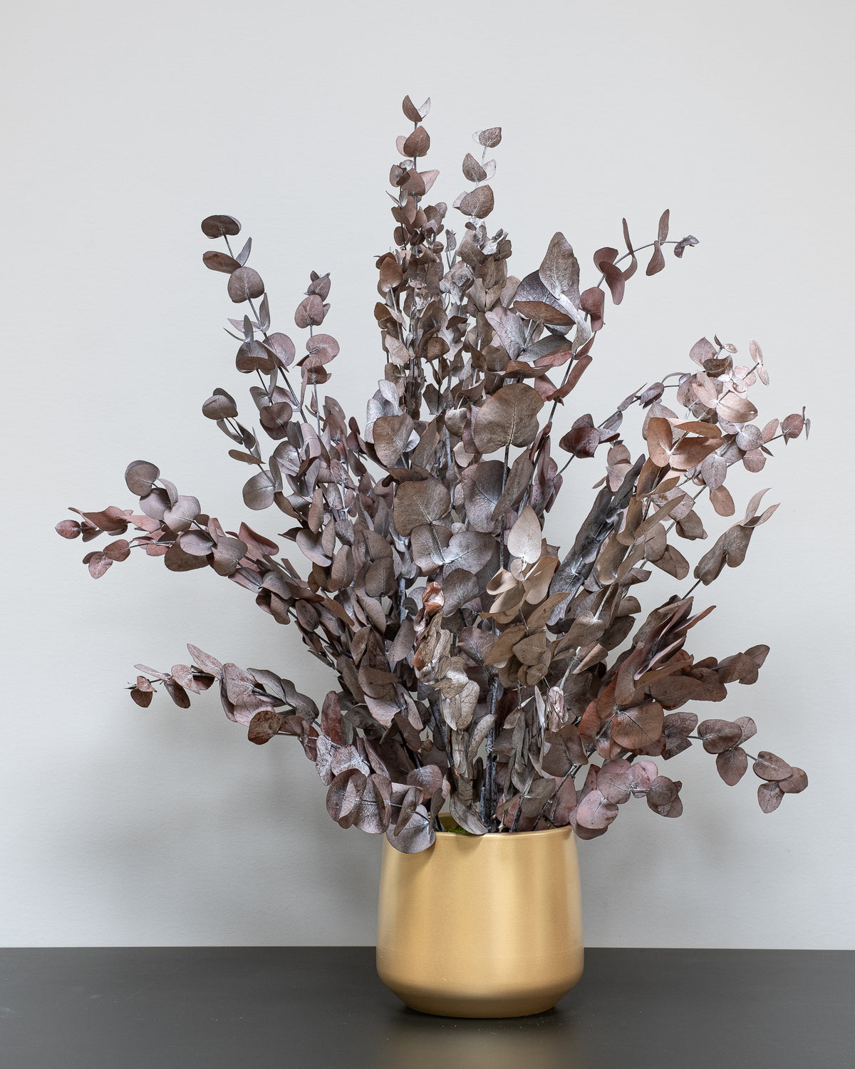 Konserverad Eucalyptus Cinerea krukväxt