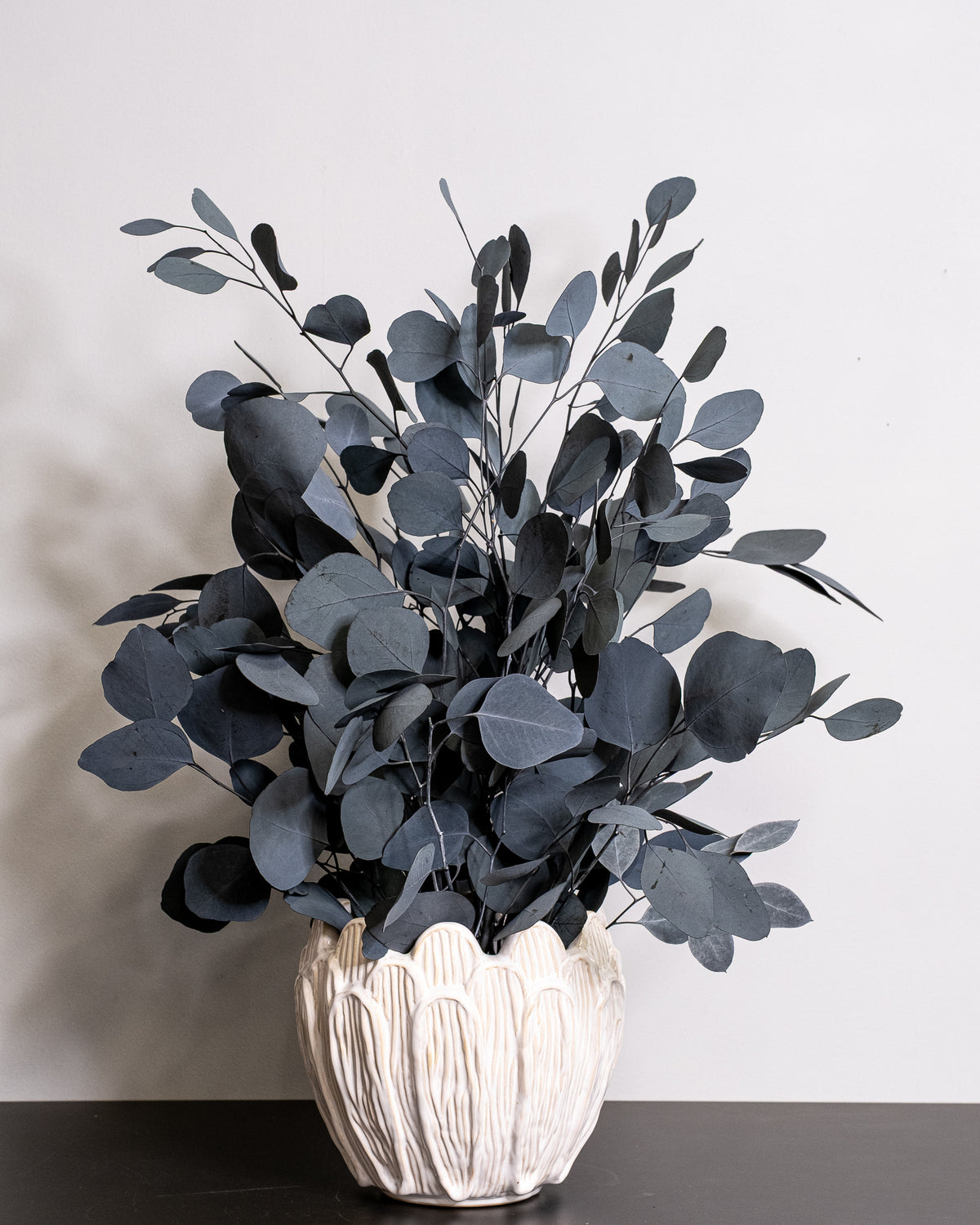 Konserverad Eucalyptus Populus krukväxt
