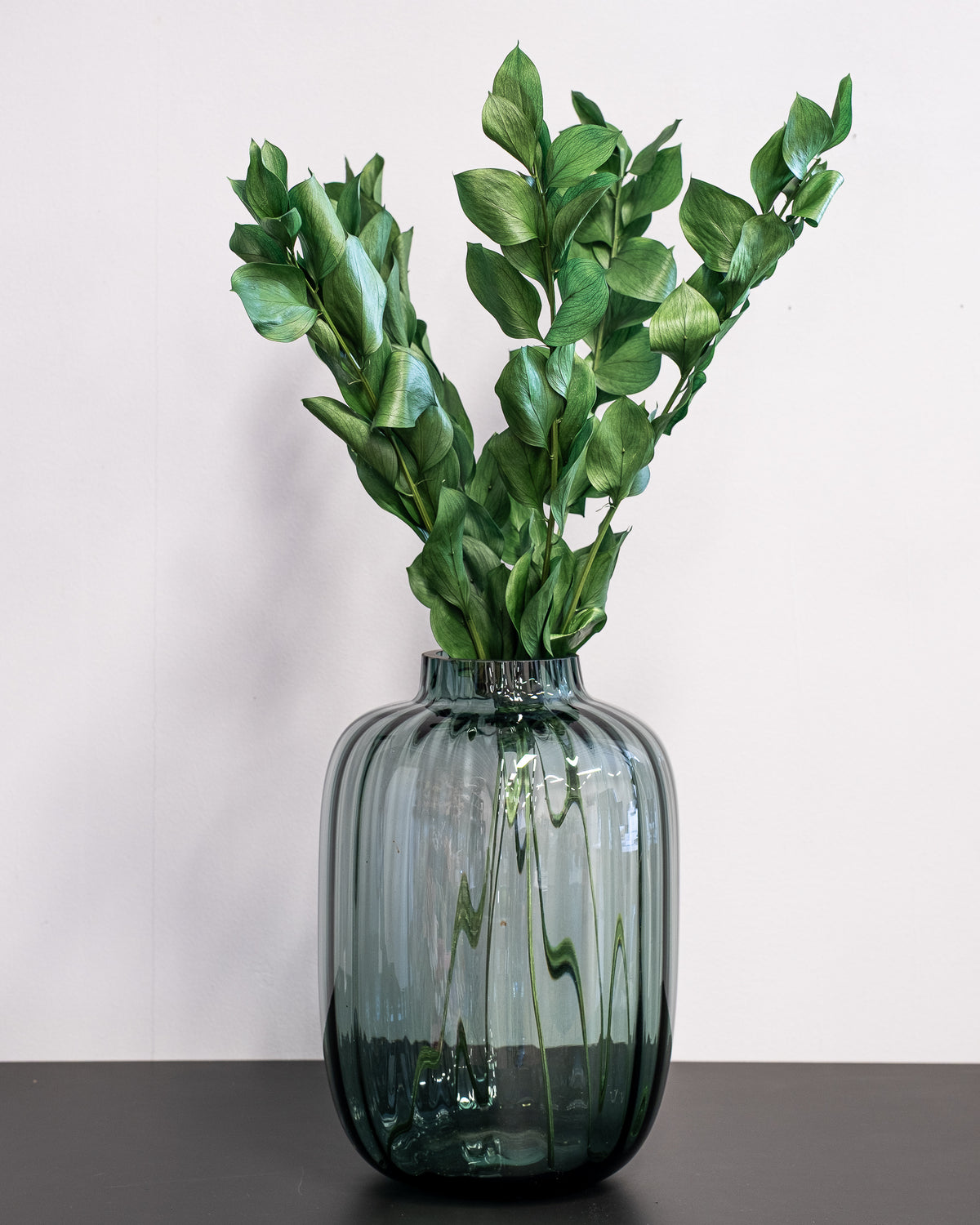 Ruscus Gigant – konserverad växt