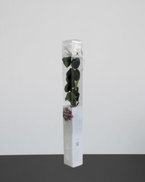 Singel Evighetsros 60 cm 11 1