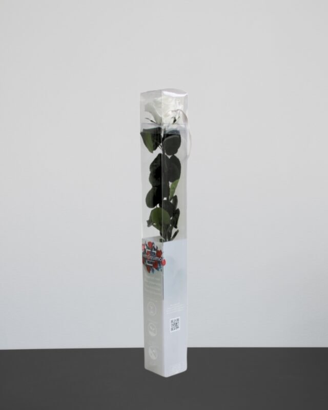 Forever Flora