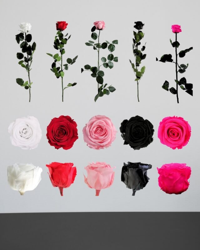 Forever Flora