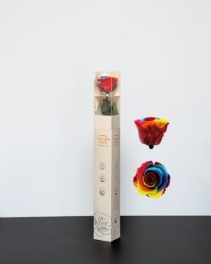 Singel Evighetsros 60 cm 16