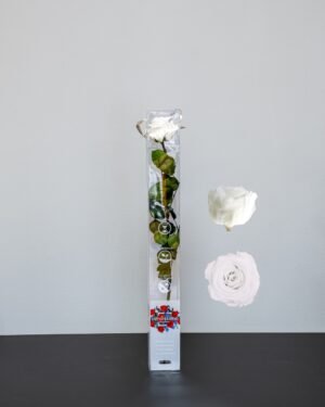 Singel Evighetsros 60 cm 18