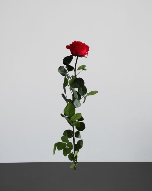 Forever Flora