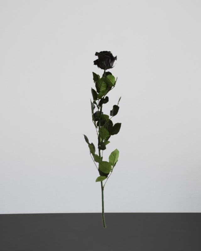 Forever Flora