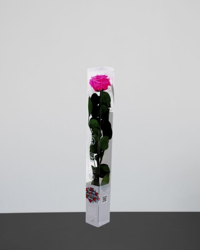 Forever Flora