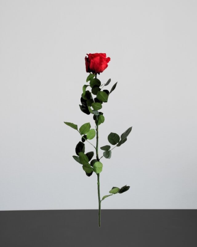 Forever Flora