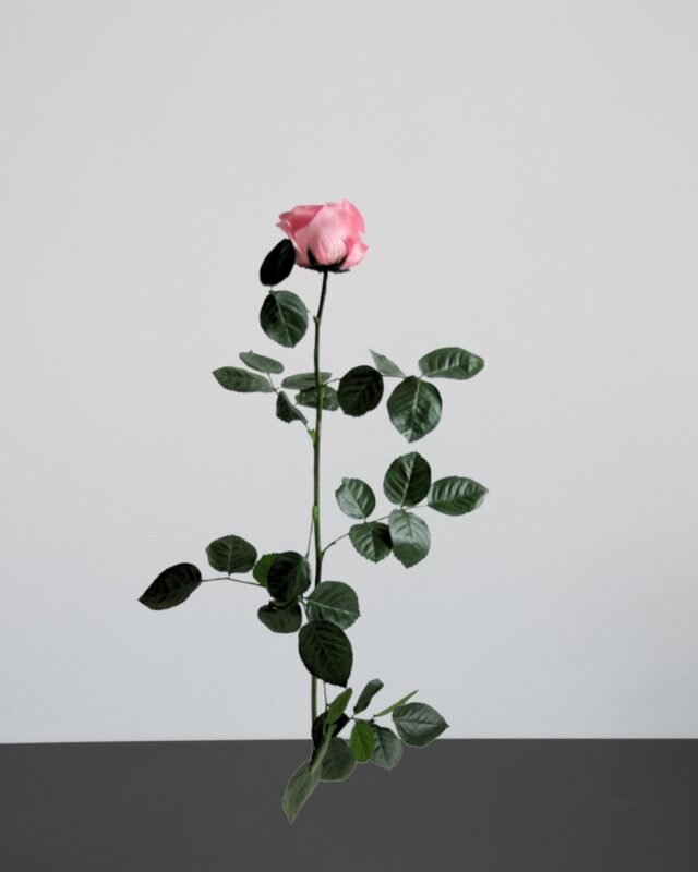 Forever Flora