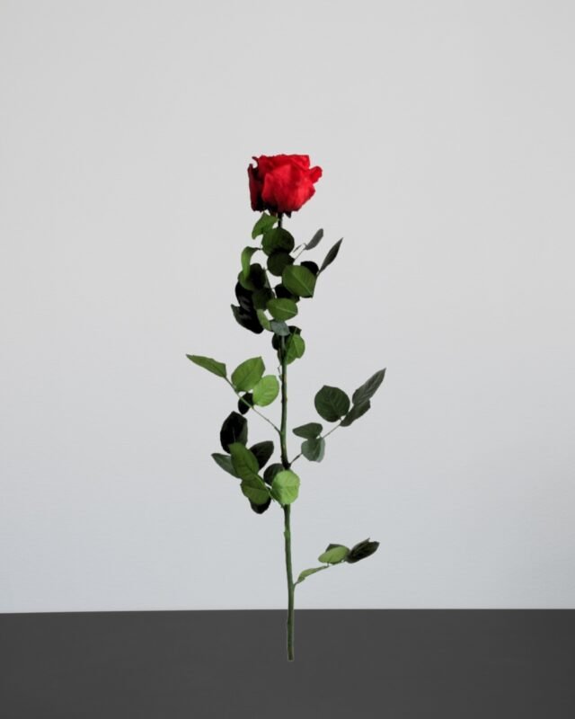 Forever Flora