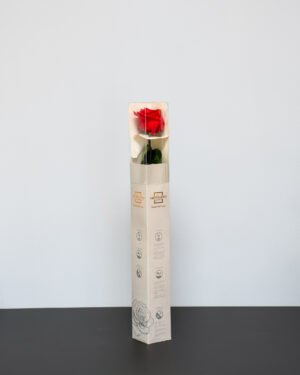 Singel Evighetsros 60 cm Evighetsros 10