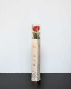 Singel Evighetsros 60 cm Evighetsros 12