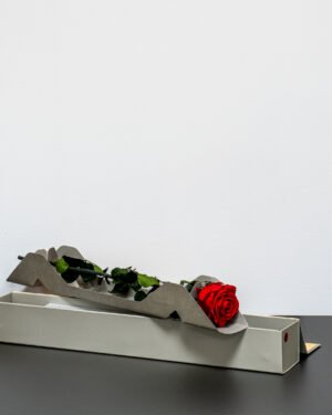 Singel Giftbox - V rose 19 Singel Giftbox - V rose Evighetsros 25