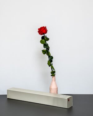Singel Giftbox - V rose 15 Singel Giftbox - V rose Evighetsros 27